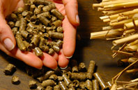 free Stonedge biomass boiler quotes